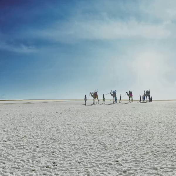 Expert Travel Agent in Rann of Kutch