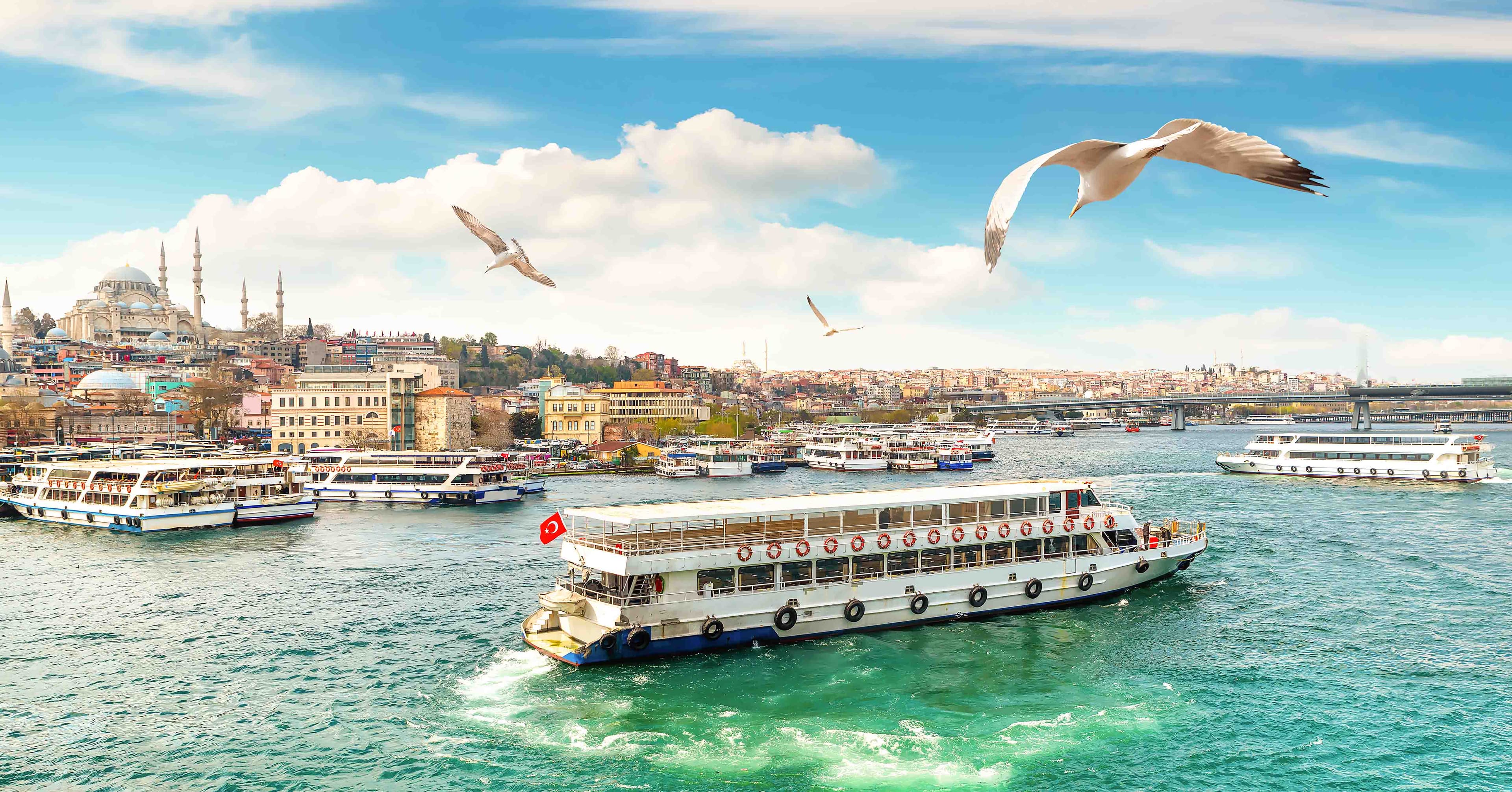 Bosphorus Dinner Cruise - Image 1