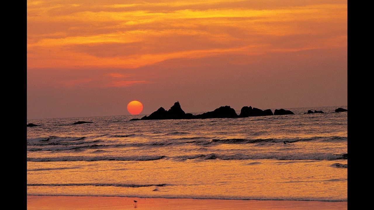 Watch a Sunset at Kovalam Beach - Image 1