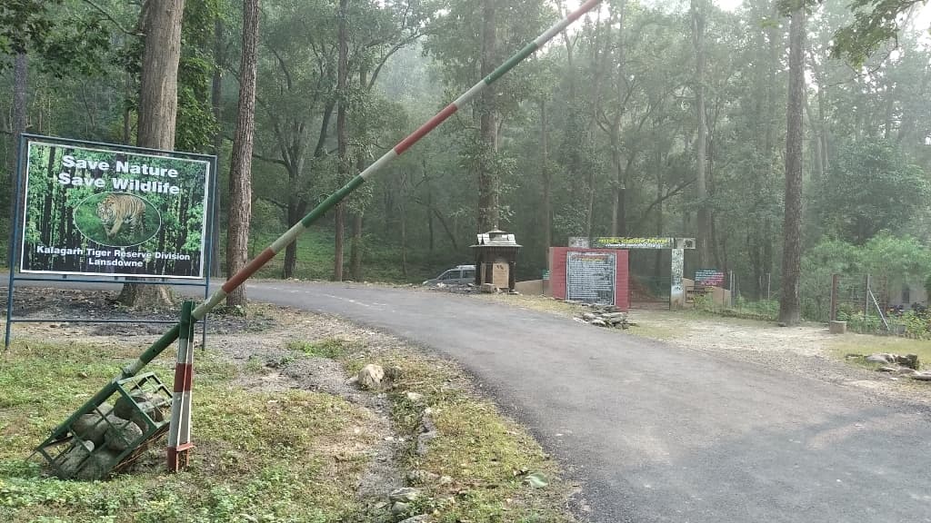 Go for a Safari Ride in Kalagarh Wildlife Sanctuary - Image 1