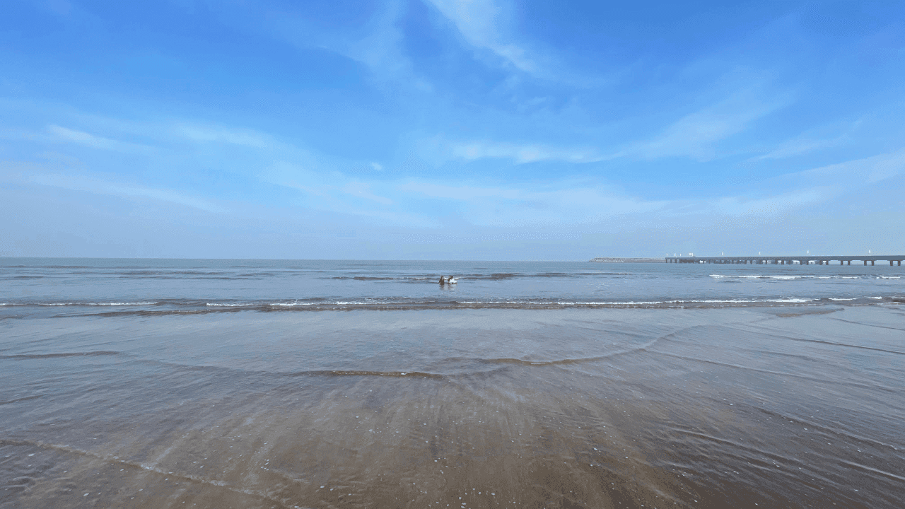 Mandwa Beach - Image 1
