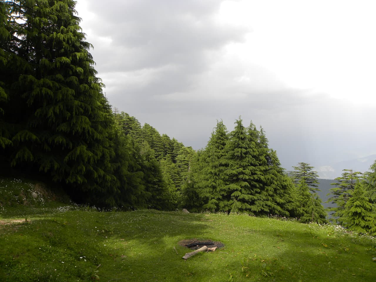 Kalatop Wildlife Sanctuary - Image 1