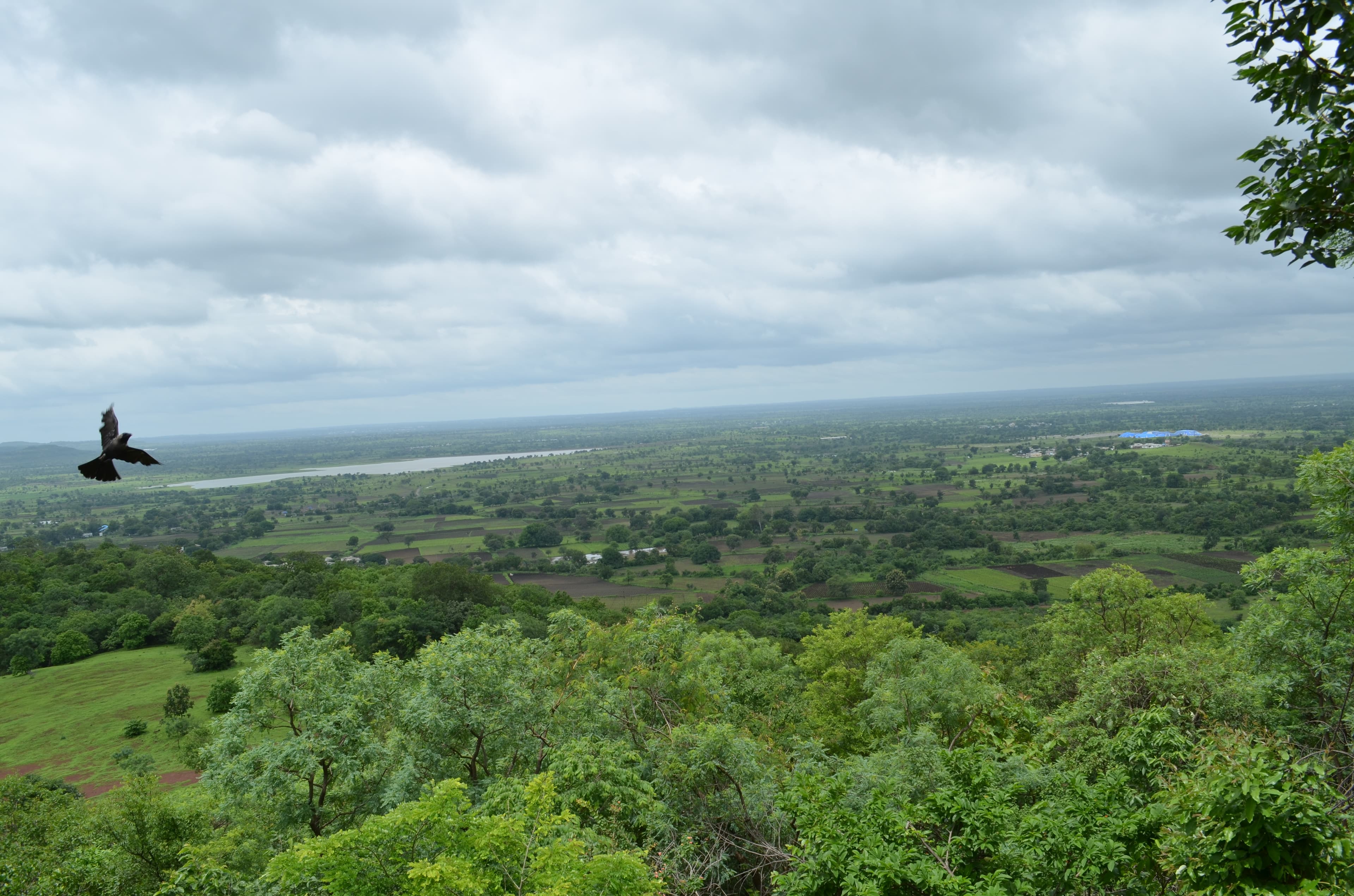 Ananthagiri Forest - Image 1