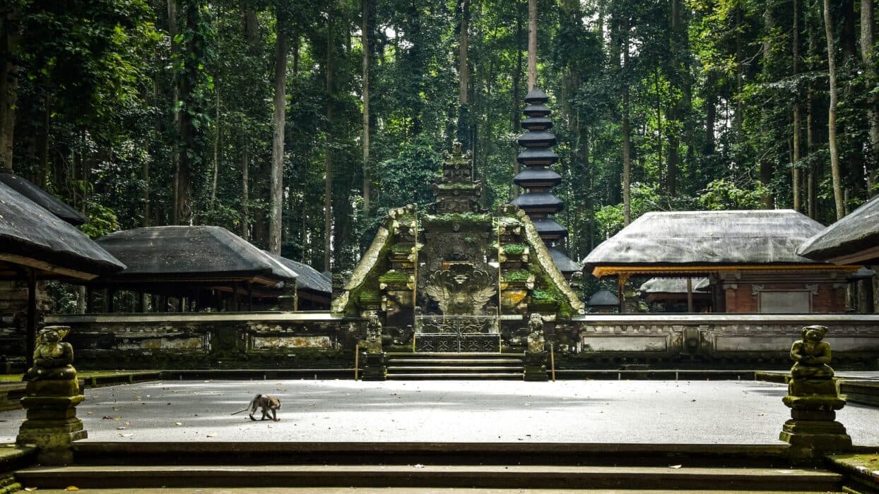 Explore the Ancient Temples - Image 1