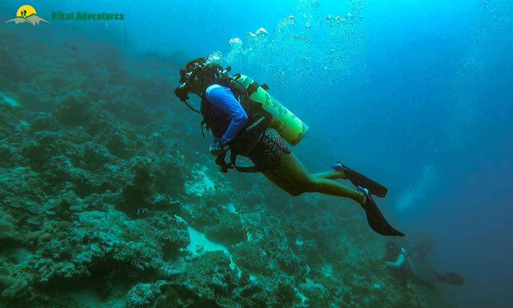 Scuba Diving - Image 1
