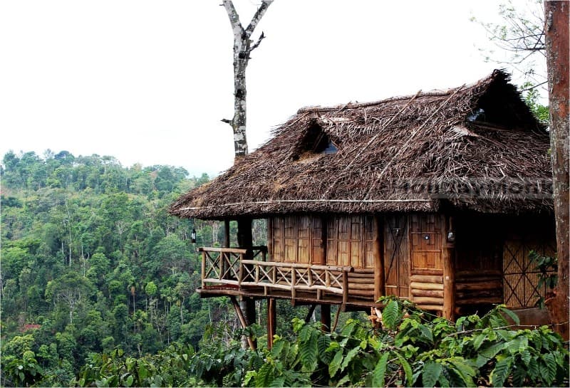 Aranya Homestay - Image 1