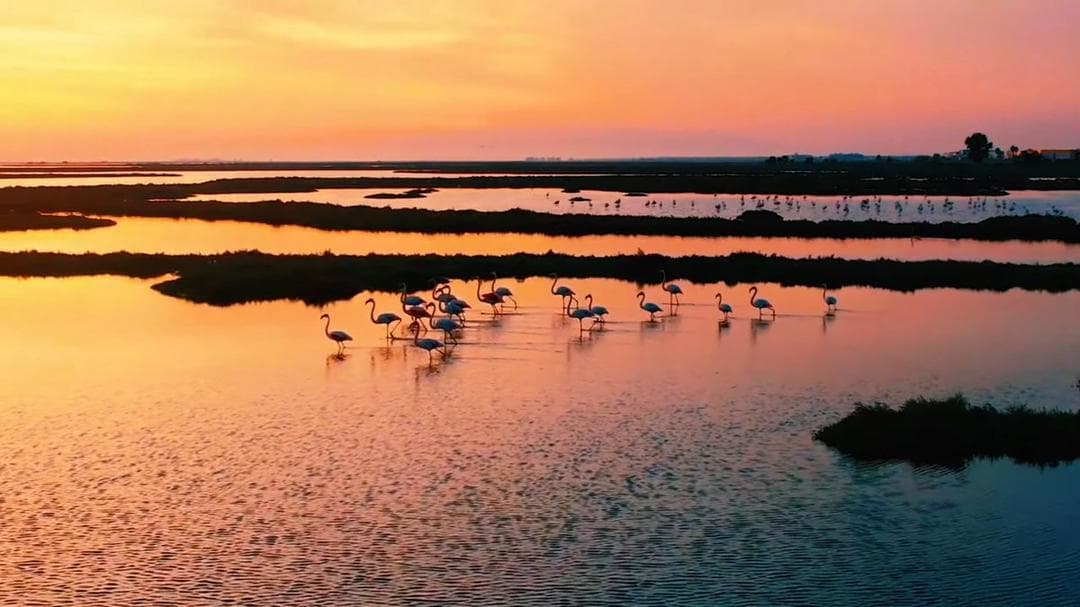 Pitti Bird Sanctuary - Image 1