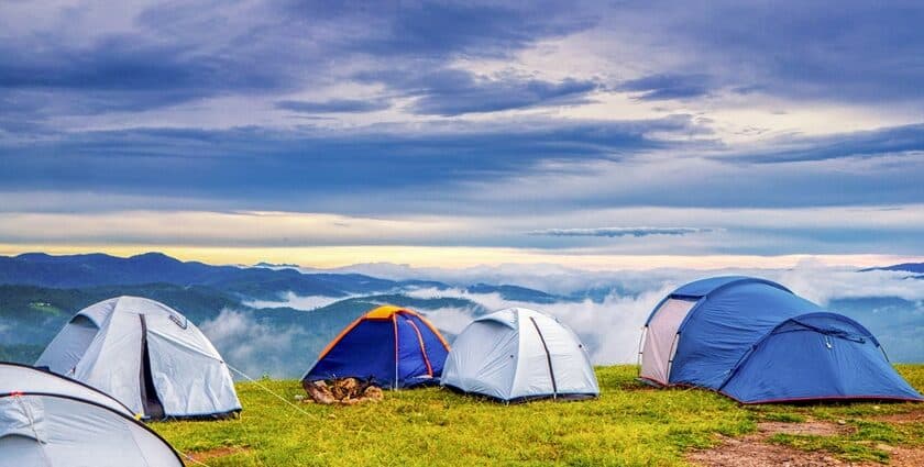 Camping in Dalhousie - Image 1