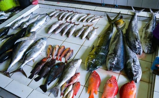 Male Fish Market - Image 1