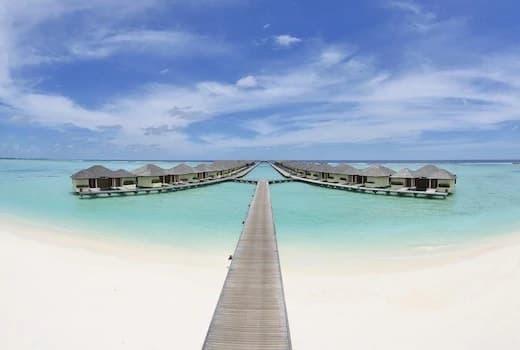 Paradise Island Resort - Image 1