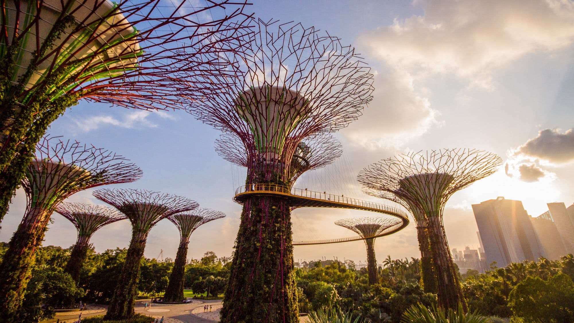Gardens by the Bay - Image 1