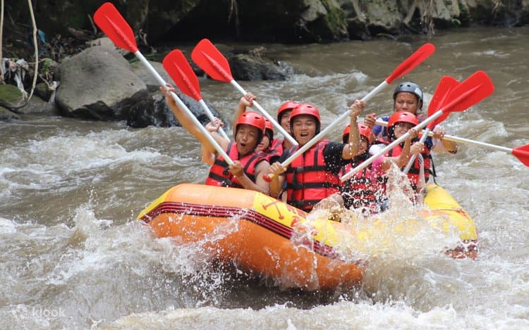 Rafting on Ayung River - Image 1