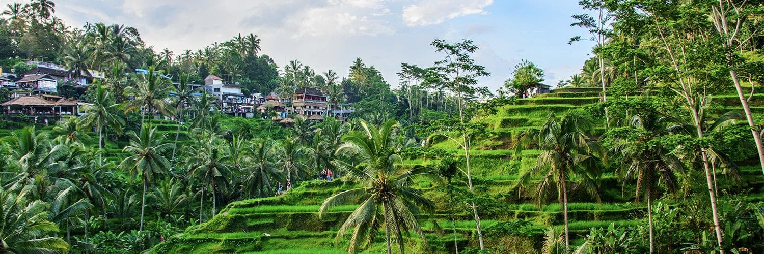 Visit Tegallalang Rice Terraces - Image 1