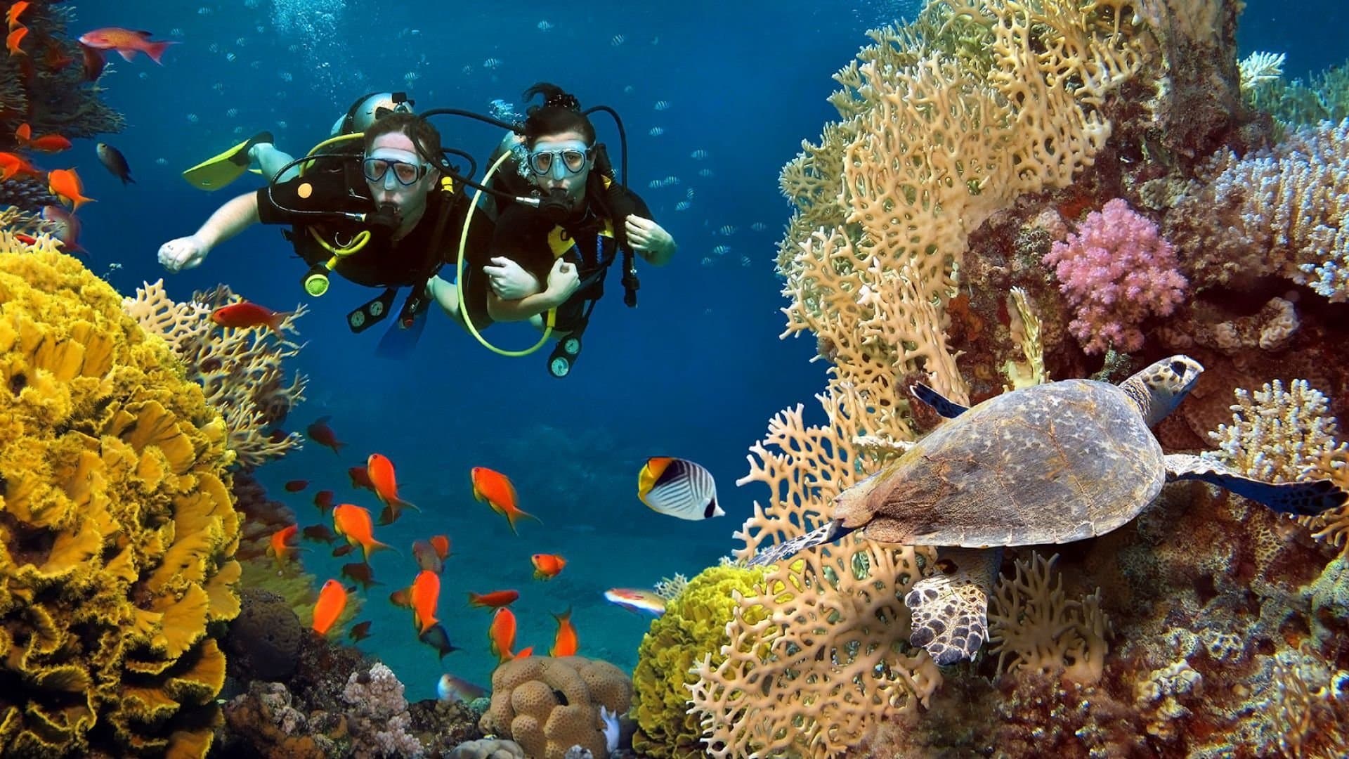 Scuba Diving - Image 1